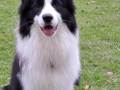 ....hat noch Flausen im Kopf...