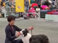 ...und schwups auf der ersten Ausstellung...