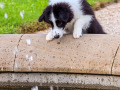 IMG_-2022-10-02-20_17_18