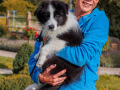 IMG_1737