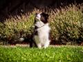IMG_6482-Edit