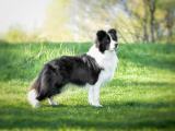 Taru´s Eltern