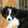 ..puh ist das Leben anstrengend, eine kleine Pause muss schon sein !!
