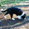 Die Nase wird trainiert