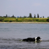 Meine ersten Schwimmversuche