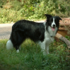 Buddy mit 10 Monaten