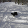 ...der erste Schnee...