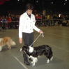 ...meine erste Ausstellung - Offenburg 2006...