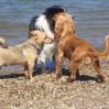 ...Bay Watch...