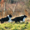 Monty und ich...