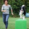 ...Buddy ist mit Elan bei der Sache...
