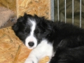 ..puh ist das Leben anstrengend, eine kleine Pause muss schon sein !!