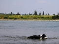 Meine ersten Schwimmversuche