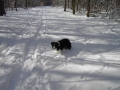 ...der erste Schnee...