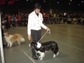 ...meine erste Ausstellung - Offenburg 2006...