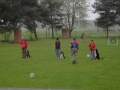 ...Obedience-Training...