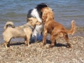 ...Bay Watch...