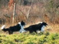 Monty und ich...