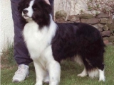 Buddys Eltern