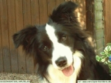 Buddys Geschwister