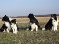 ...Nash, ich, Samu und Monty...