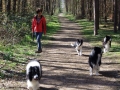 ...die ganze Bande unterwegs...