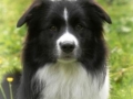 ...Monty ist nun ein Jahr alt...