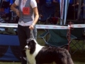 ...mal wieder ein schönes Gesicht machen bei der CAC in Bad Salzhausen.....und damit den 2.Platz sichern....