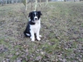 ...Monty ist nun 4 Monate alt...