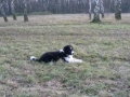 ...er beobachtet und lernt...