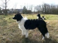 ...Monty ist nun 6 Monate alt...