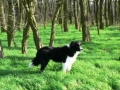 ...der die ersten Sonnenstrahlen im Frühling 2007 sichtlich genießt...