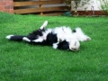 ...endlich Sommer, Sonne, Garten und spielen...