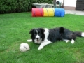 ...der alte Ball ist immer noch am schönsten...