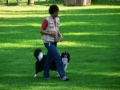 ...mit seinen nun 9 Monaten hat Monty auf dem Hundeplatz bei den Übungsstunden sehr viel Spaß...