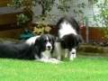...Monty und Mo, zwei die sich verstehen...
