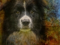 montyart-1