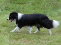 Nash mit 2 Jahren, im Sommer 2012