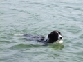 ...Nash, der Rettungsschwimmer...