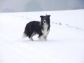 ...und schon ist es wieder Winter (Schwäbische Alb 2012/13)...