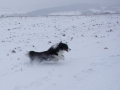 ...und auch der Schnee macht Riesenspaß...
