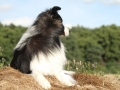 Nash mit 2 Jahren, im Sommer 2012
