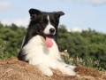 Nash mit 2 Jahren, im Sommer 2012