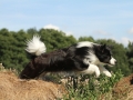 Nash mit 2 Jahren, im Sommer 2012