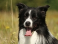 Nash mit 2 Jahren, im Sommer 2012