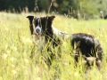 Nash mit 2 Jahren, im Sommer 2012