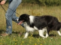 Nash mit 2 Jahren, im Sommer 2012