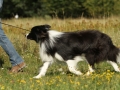 Nash mit 2 Jahren, im Sommer 2012