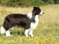 Nash mit 2 Jahren, im Sommer 2012