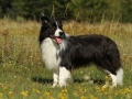 Nash mit 2 Jahren, im Sommer 2012
